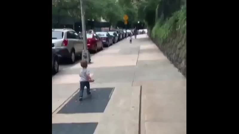 2_5379985655419897888.MP4