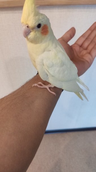 ТОЛЬЯТТИ