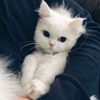 Ксения Тинсли