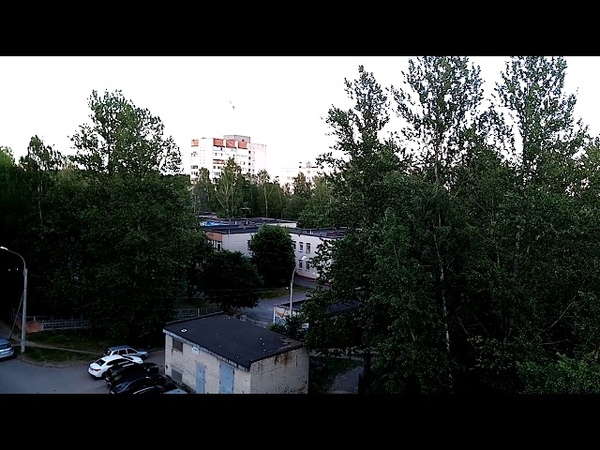 Не видел я давно таких чаек стай