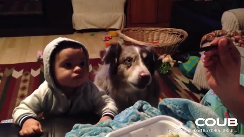 Dog Says Mama and Baby Cant