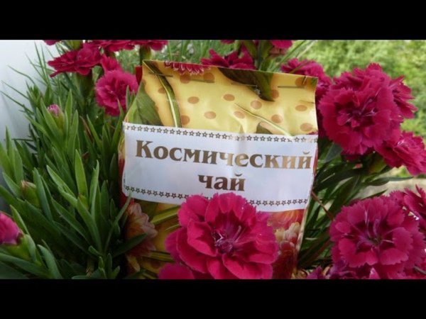 Fitolog Ru Мир Целебных Трав Интернет Магазин