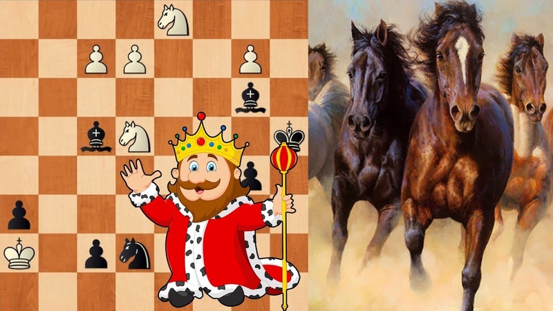 танец коней в шахматах. конь шахматы майнкрафт. танец коней в шахматах. филидорская защита шахматы. мхедрули шахматы.