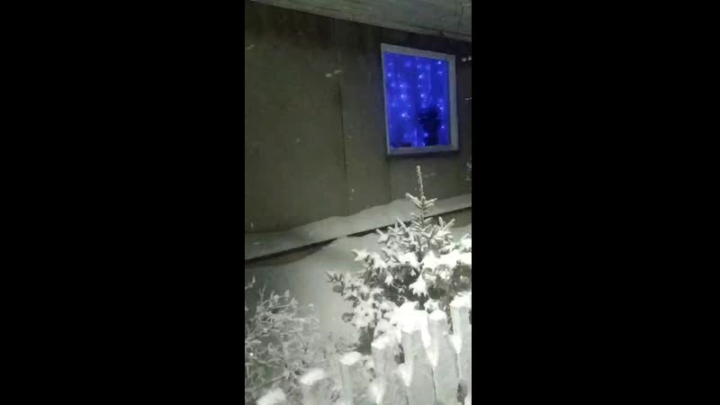 VID_20201230_085013.mp4